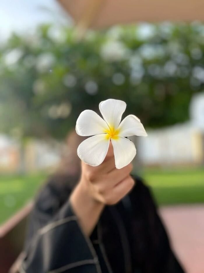 aethetic hidden face dp for girls hd