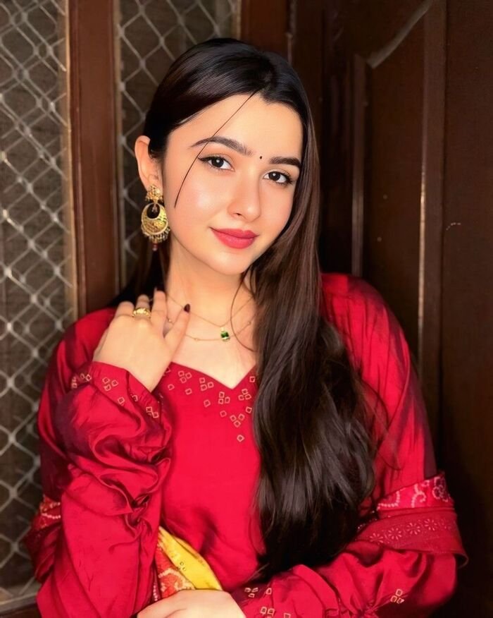 aethetic saree girl dp image