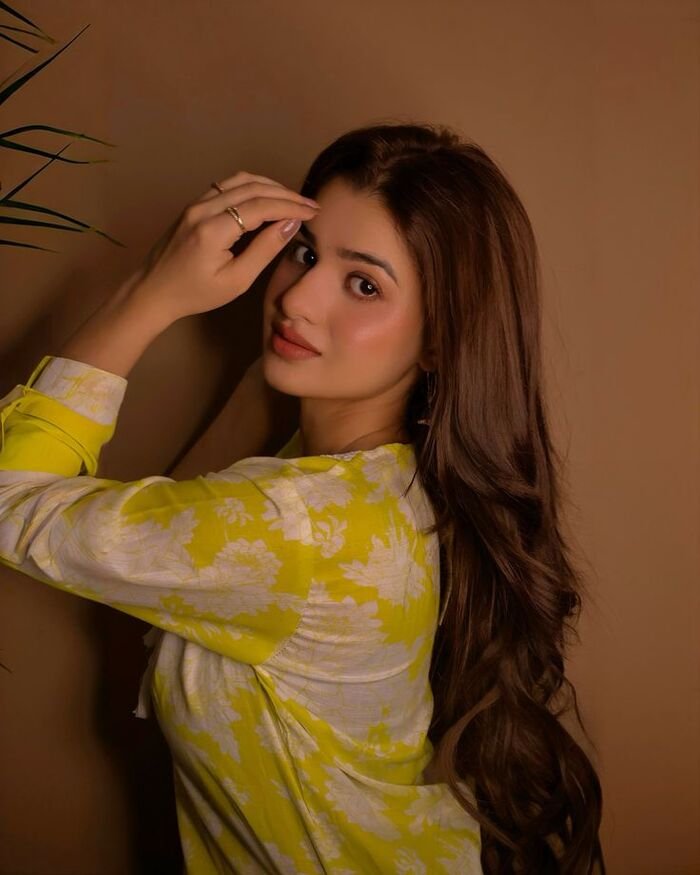 aethetics saree girl dp image