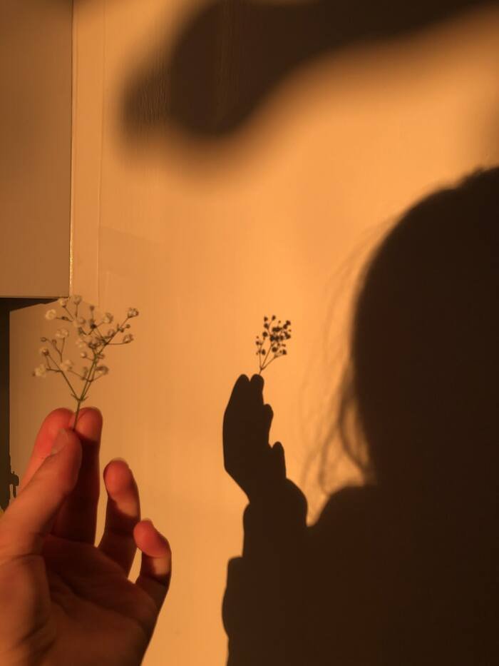 aethetics shadow girl dp photo hot