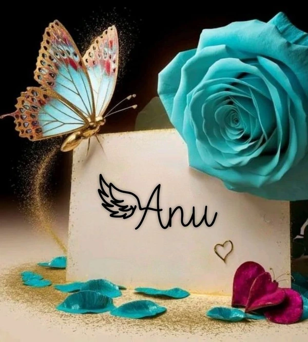 anu name dp 28