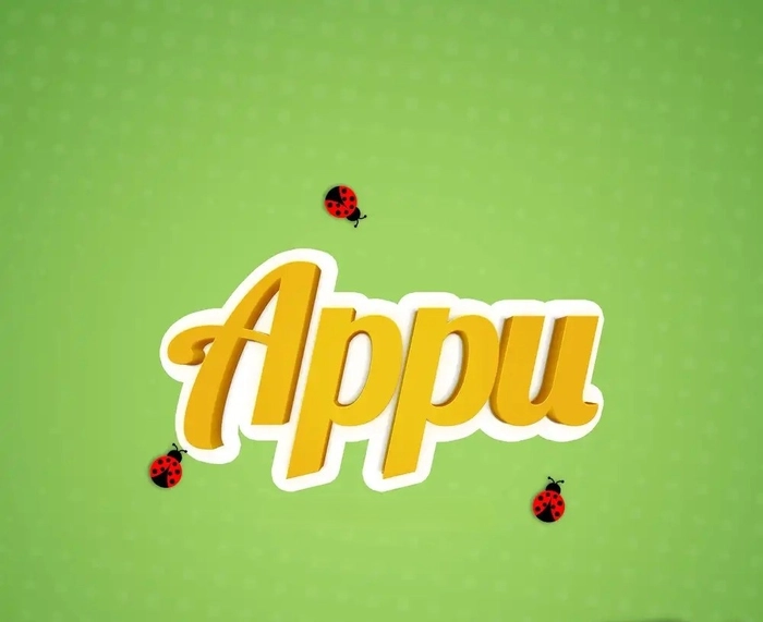 appu name dp 13