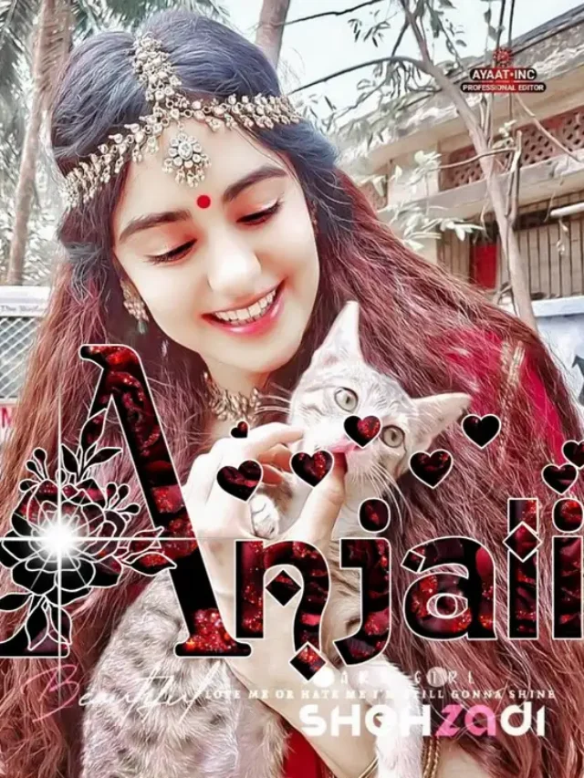 99+ Anjali Name DP Images Stylish Photos and Wallpapers