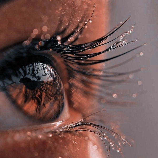 eye girls dp 3