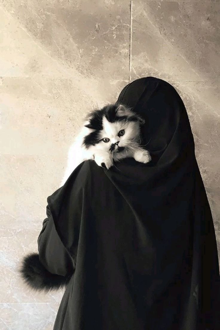 hd muslim girl dp