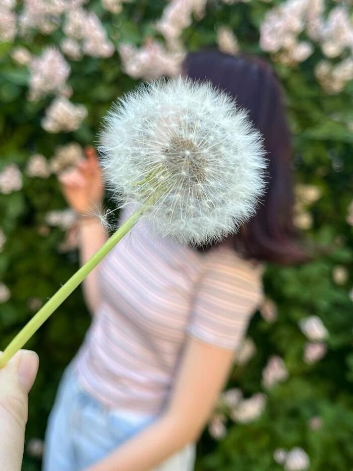 hidden face dp for girls hd