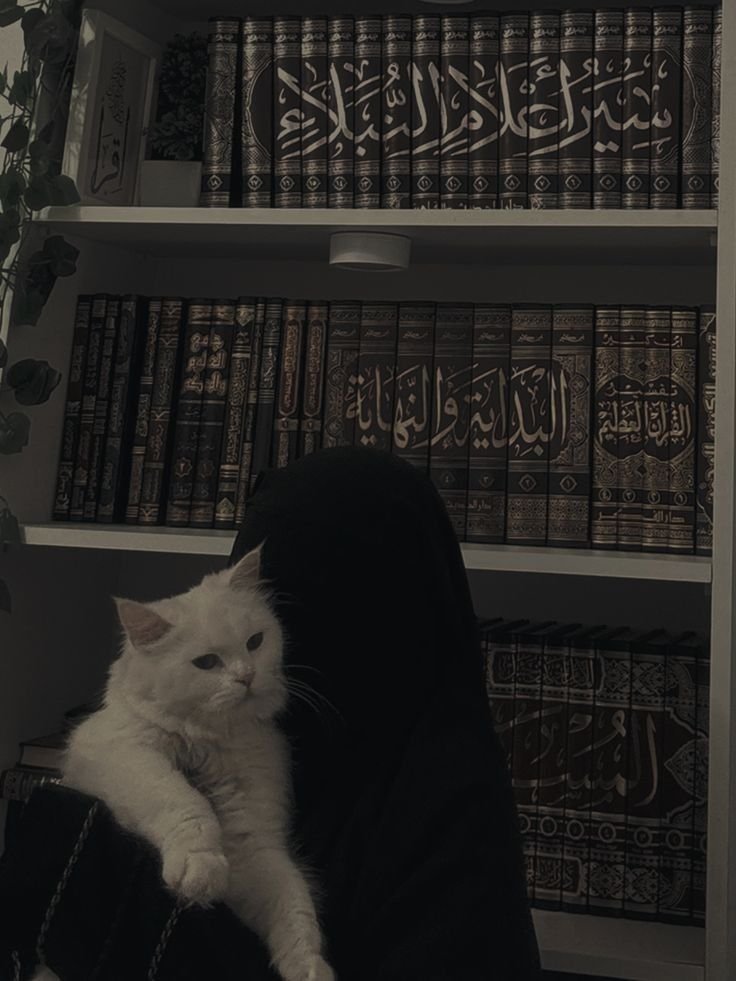 muslim girl dp 3