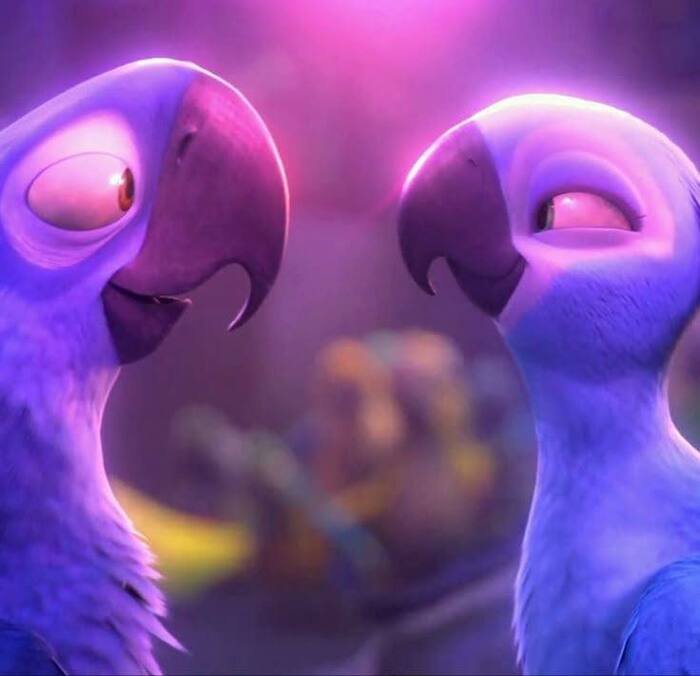 photo cartoon couple dp beautiful full hd