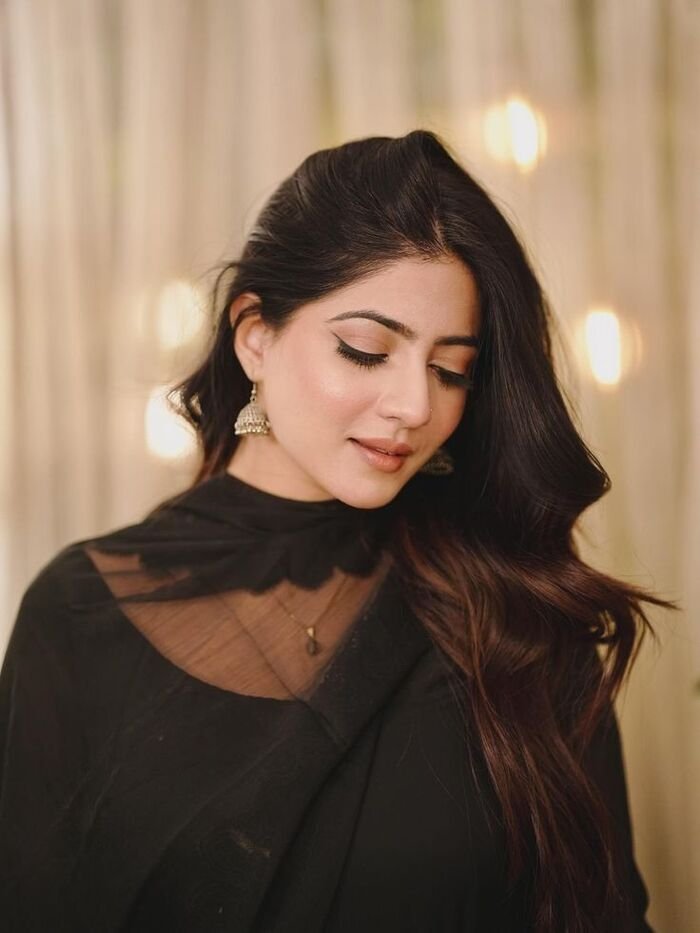 saree girl dp