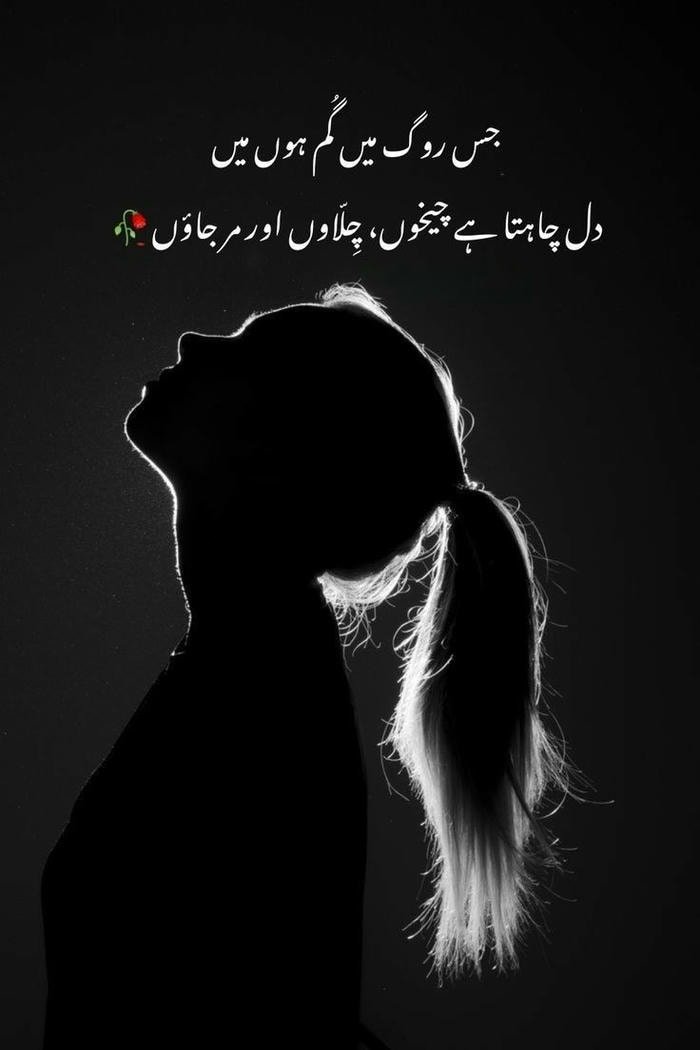 aesthetic so sad shayari dp girl in soft grey tone.