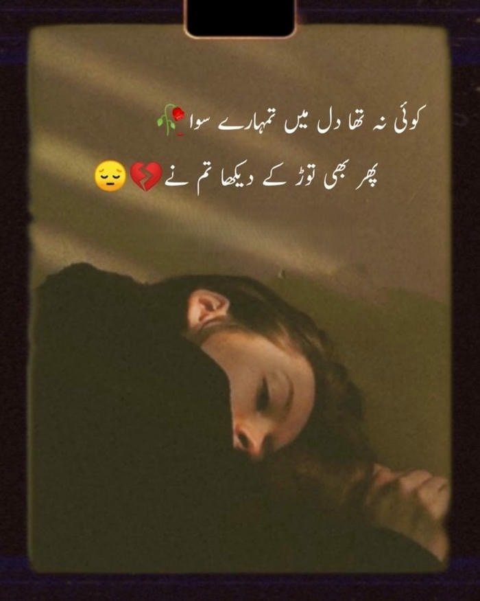 aesthetic so sad shayari dp girl with dreamy blur.