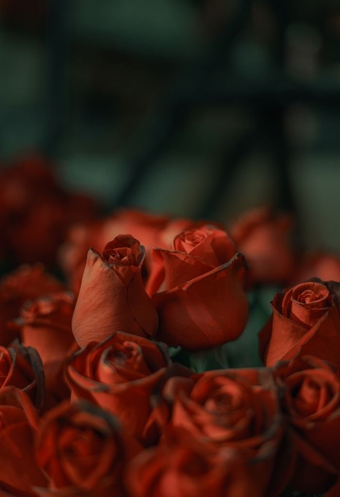 aethetics beautiful love image hd