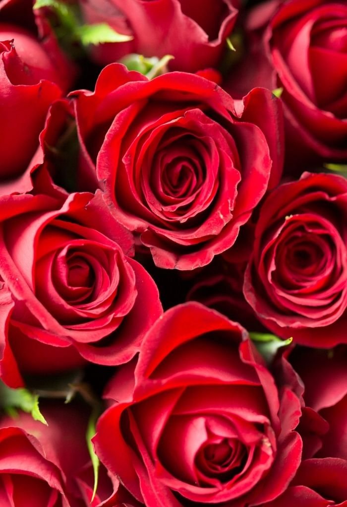 cute love image full hd