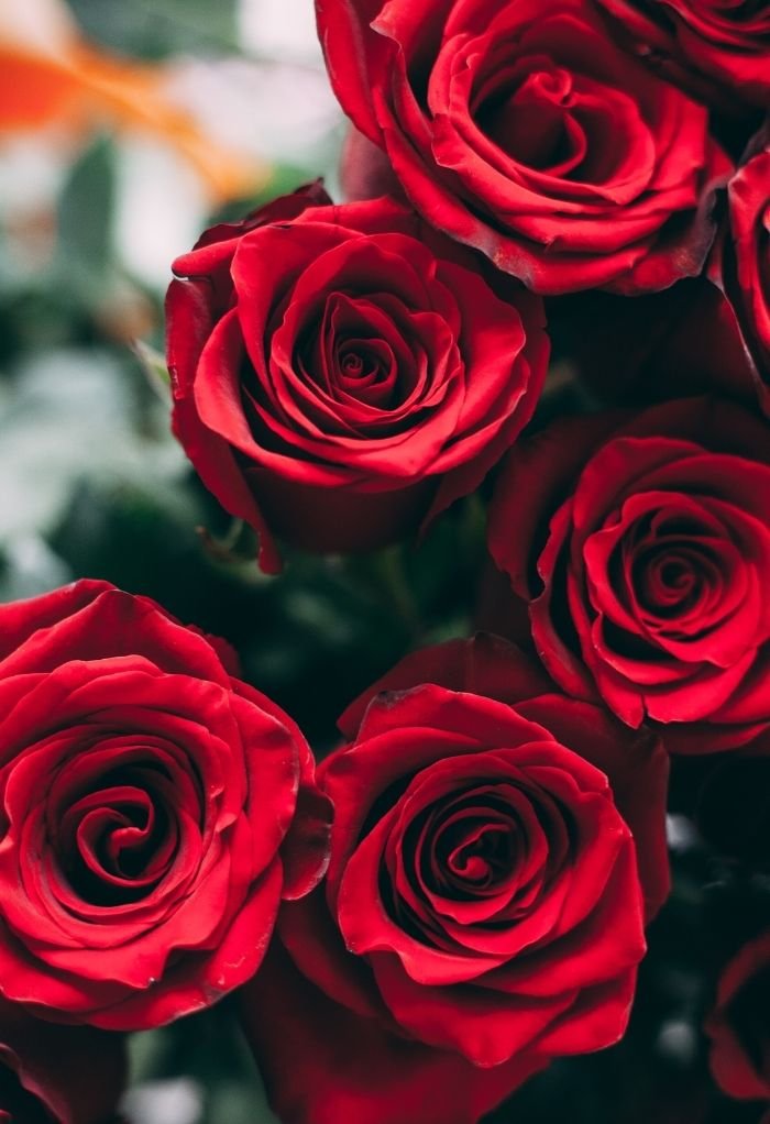 ig beautiful love image full hd