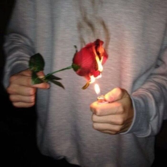 instagram no love images
