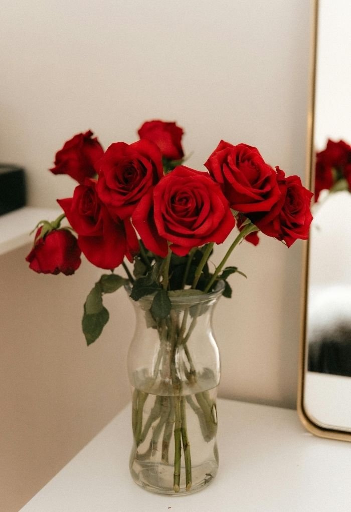 love rose image 4