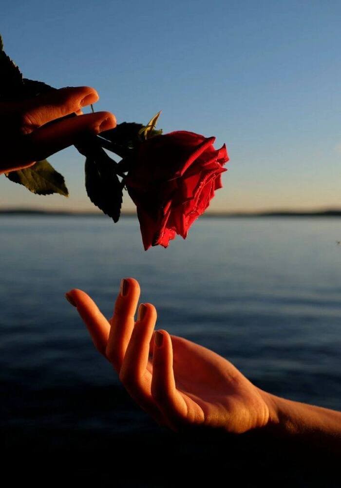 photo_16_2025-11-11_22-18-24