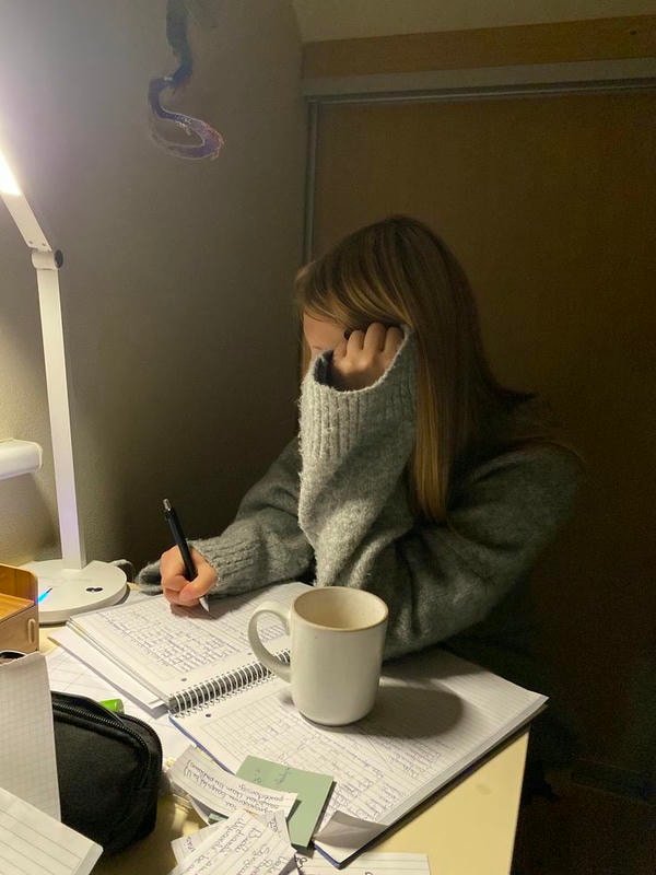 study girl dp showing curiosity and learning vibe.