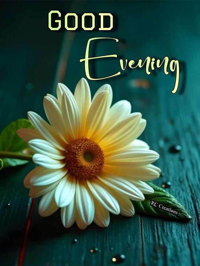 4753768f0bb56c2b3c53f83779cdb747