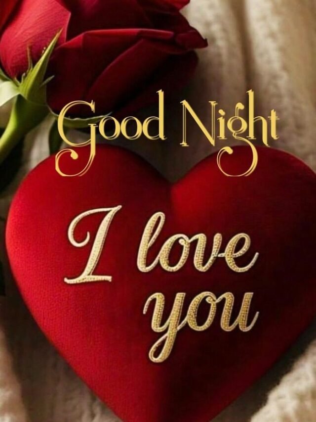 63+ Good Night My Love Images for Sweet Dreams