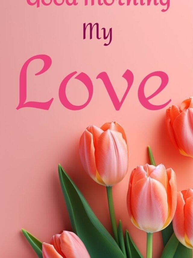 81+ Good Morning My Love Images for a Sweet Start