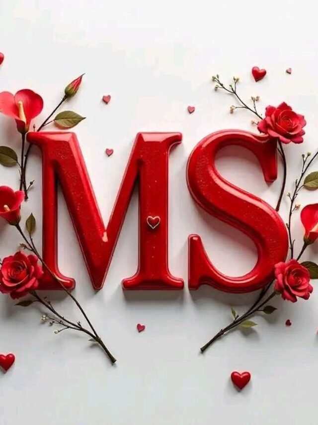 65+ Best MS Name DP Ideas for Stylish Profiles