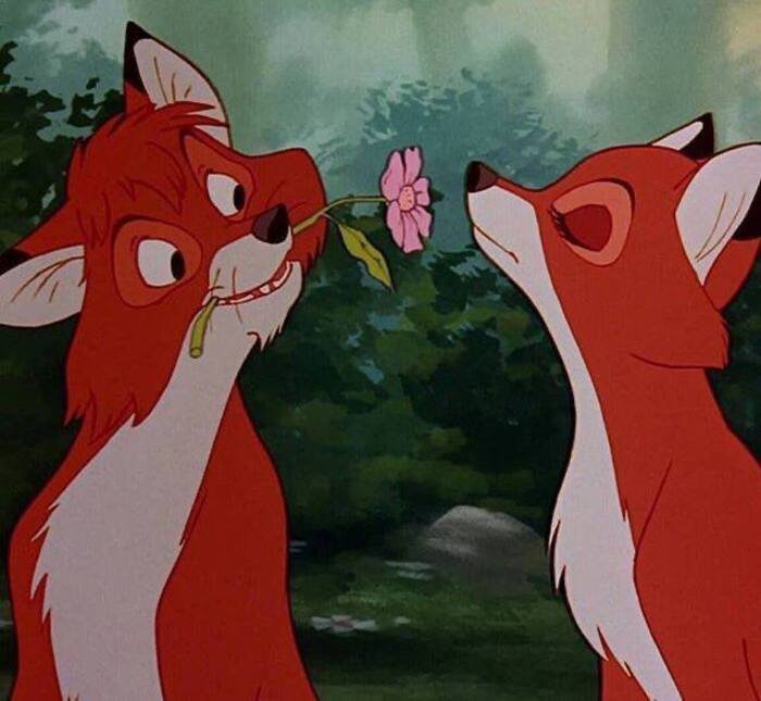 cute love images pinterest full hd