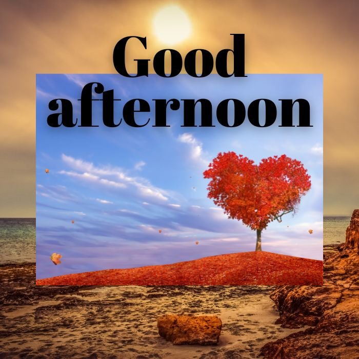 good afternoon images love ins