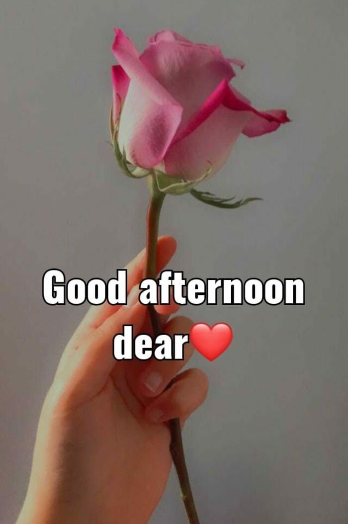 good afternoon images love photo pinterest