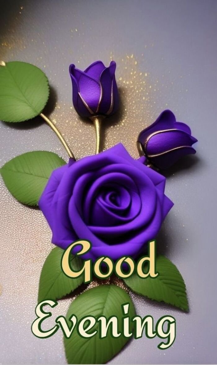good evening love image full hd photo