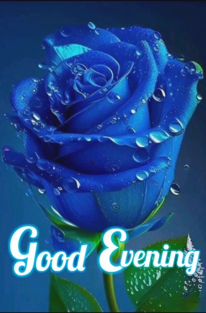 good evening love image full size ig