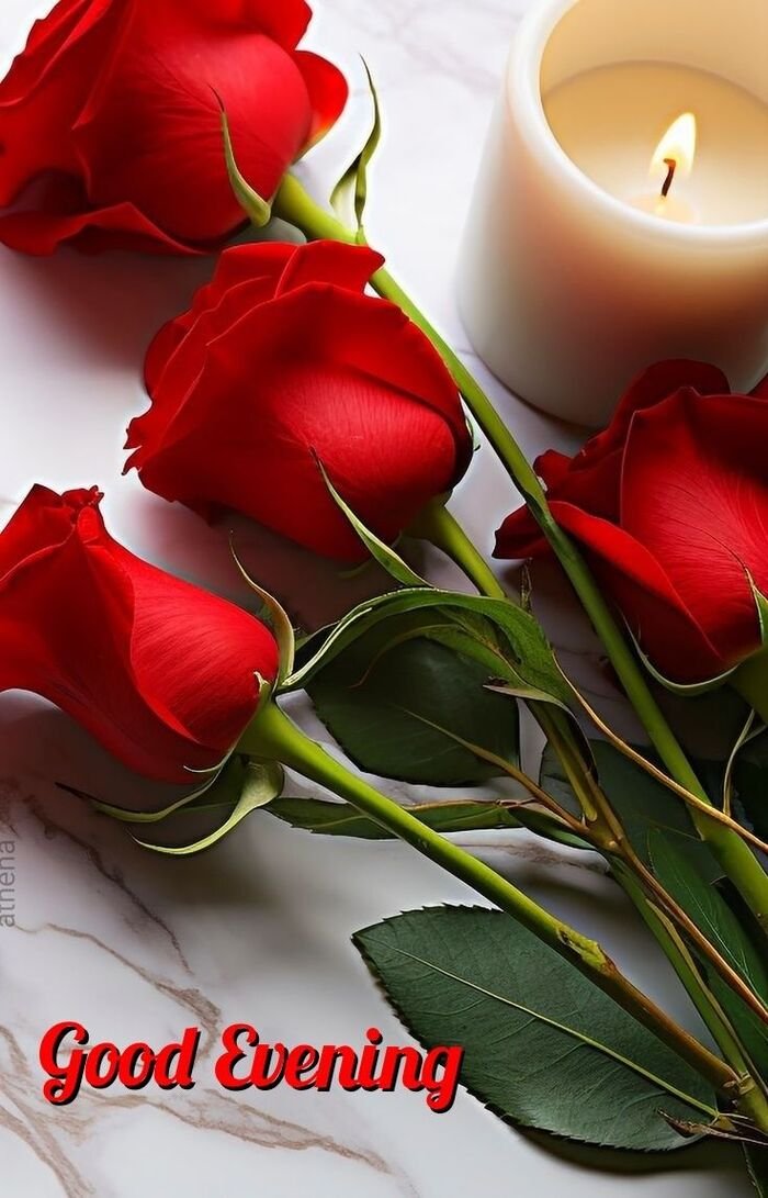 good evening love image hd photo
