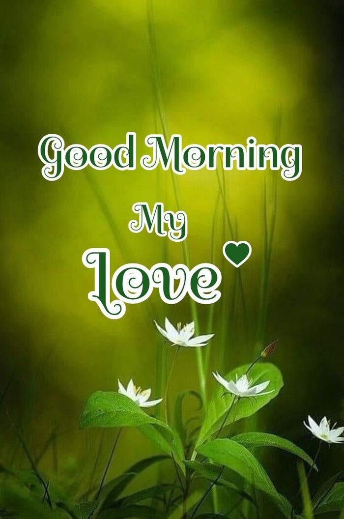 good morning my love images full size ig