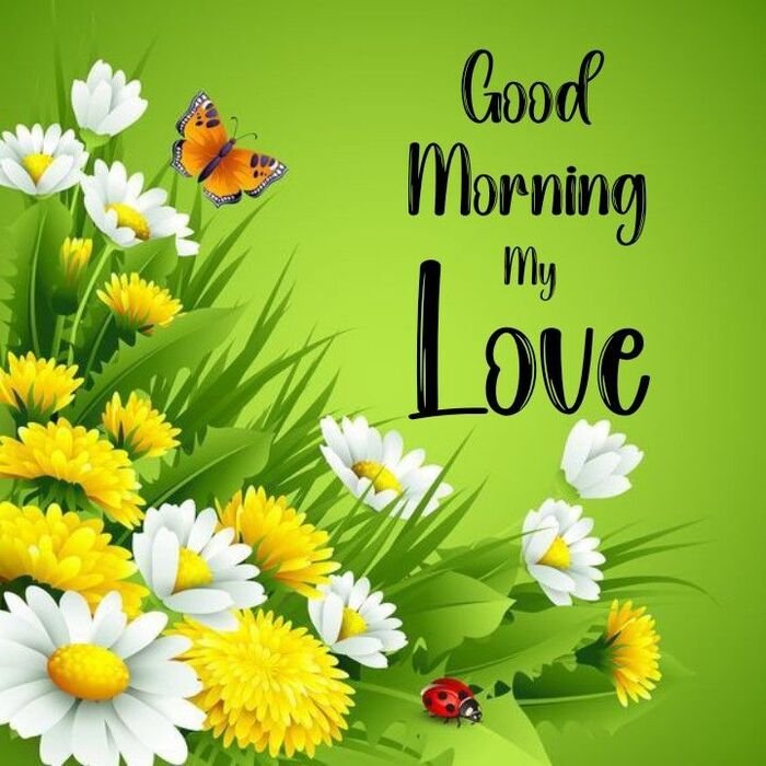 good morning my love images full size ins