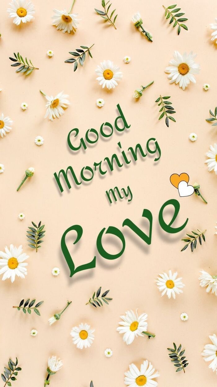 good morning my love images full size pinterest