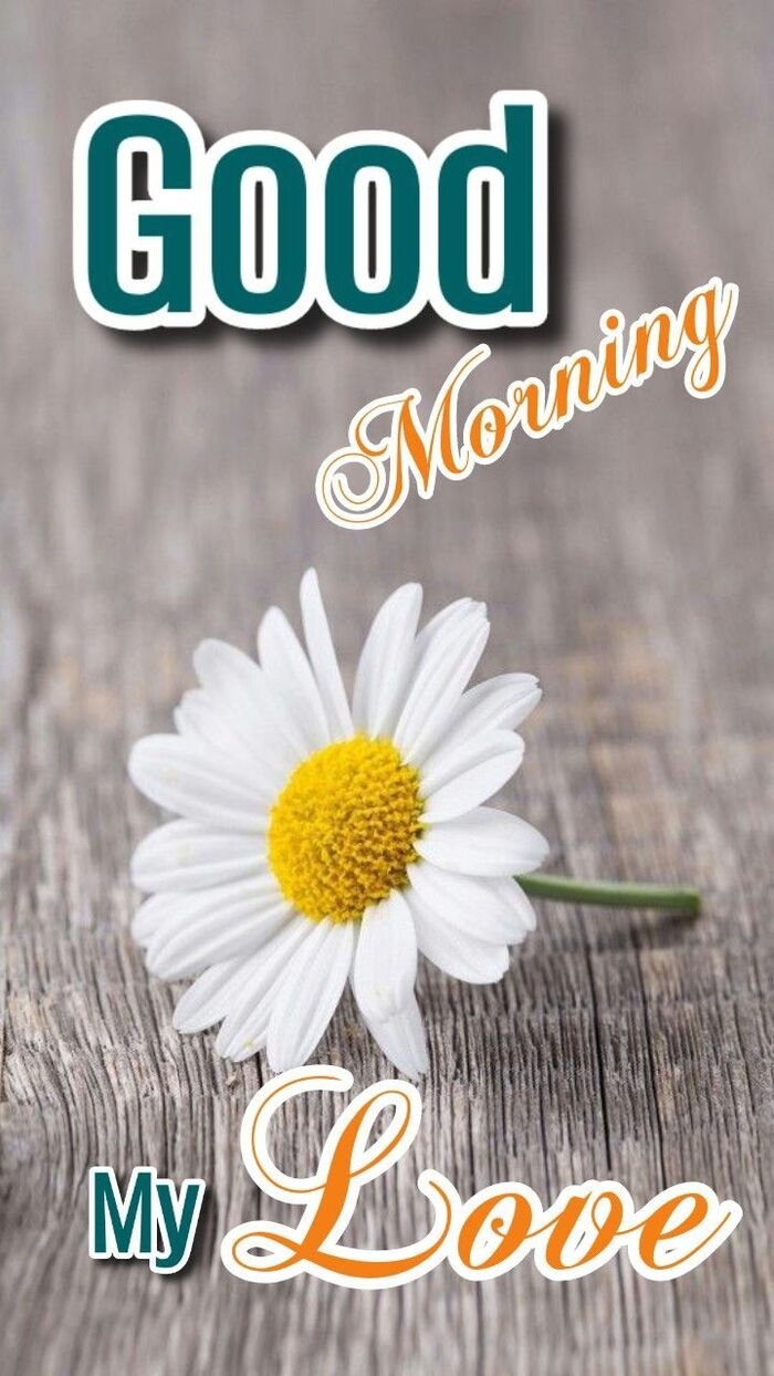 good morning my love images ig hd