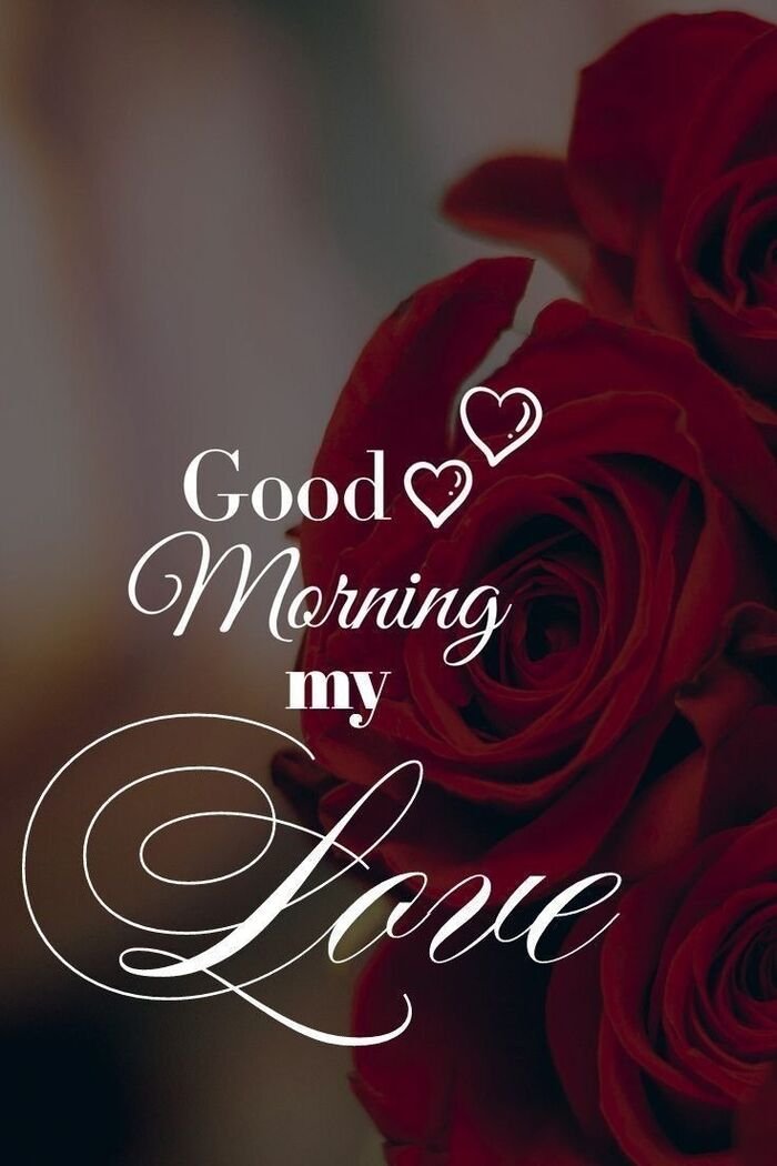 good morning my love images ins photo