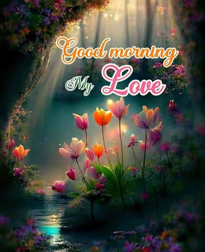 good morning my love images