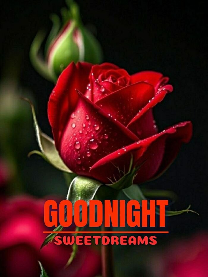 good night my love image pinterest hd