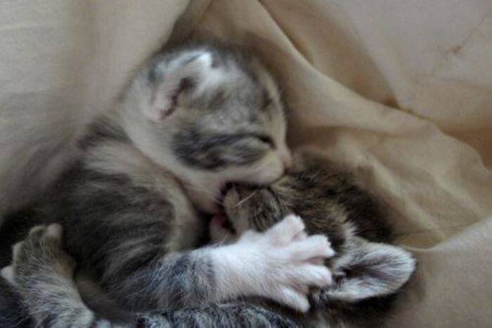 hot love bites images pinterest hd