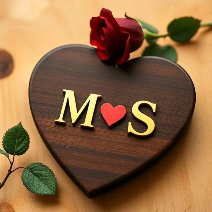 ms name dp 4d