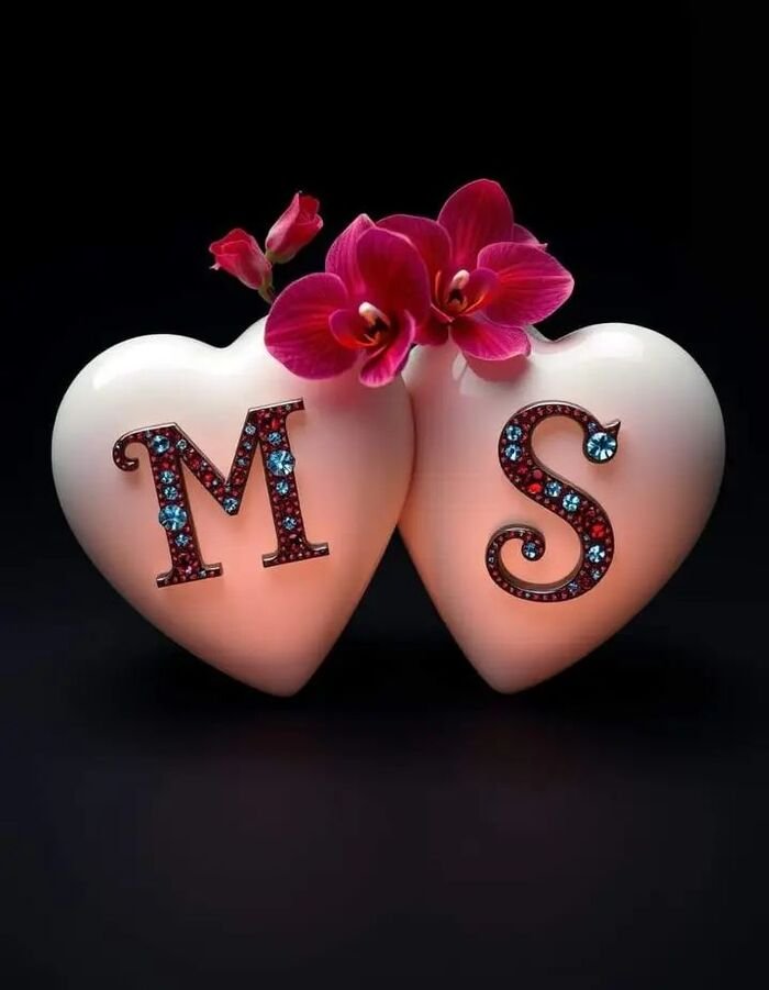 ms name dp 4k full
