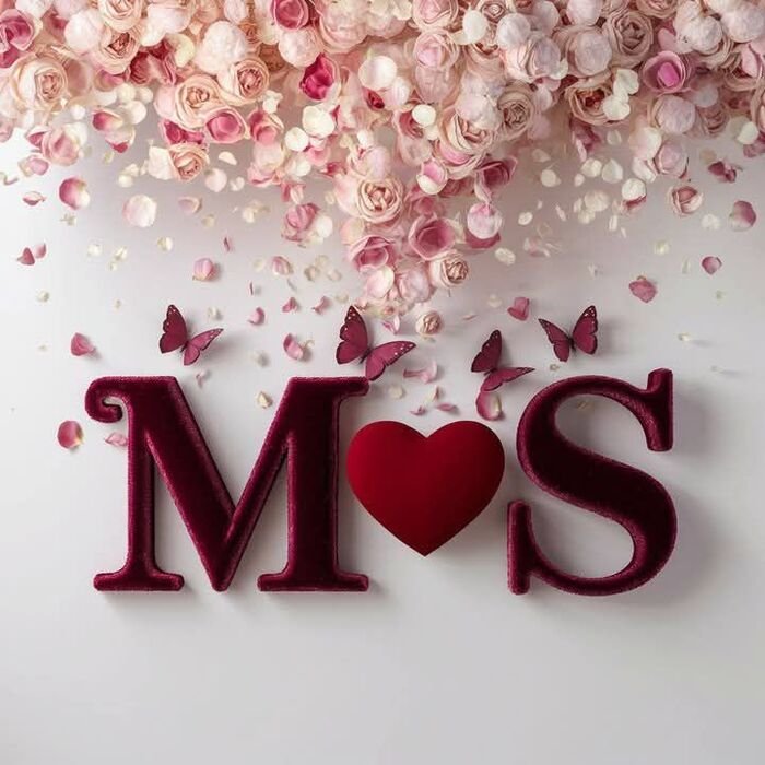 ms name dp 5d