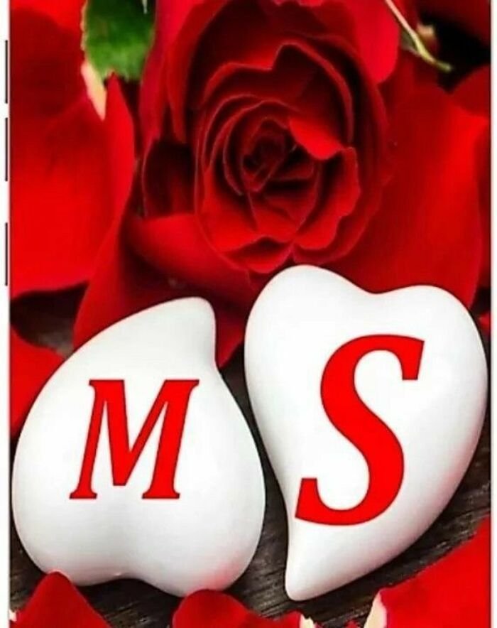 ms name dp 5k