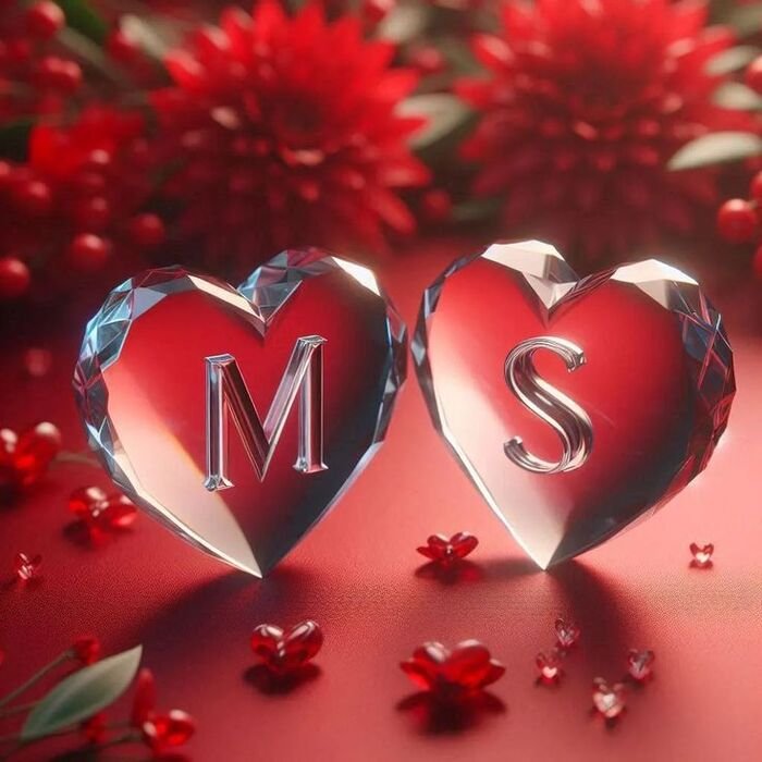 ms name dp full