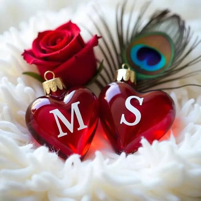 ms name dp nice 3k