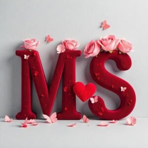 ms name dp nice hd