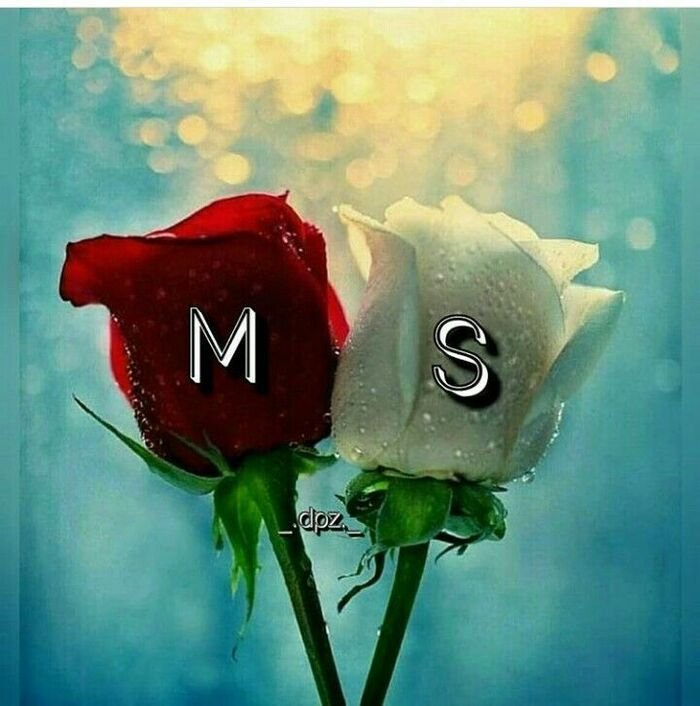 ms name dp nice hd full