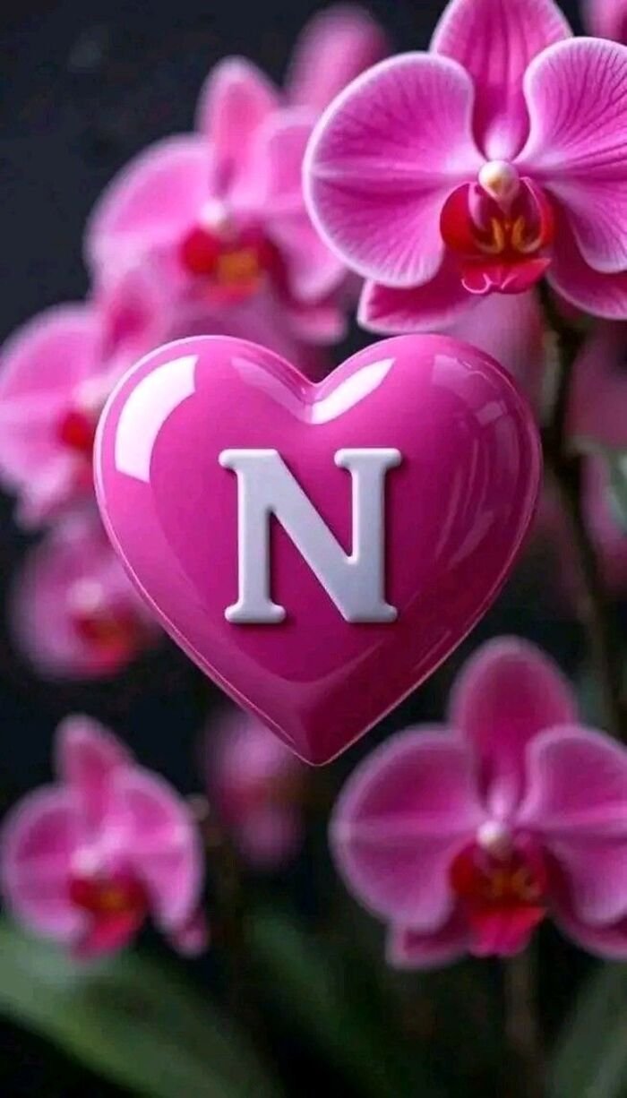 n name dp full hd