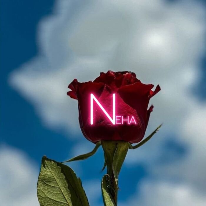 neha name dp nice 3d